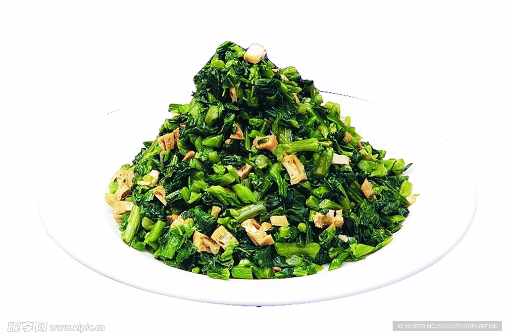 豆香万年青
