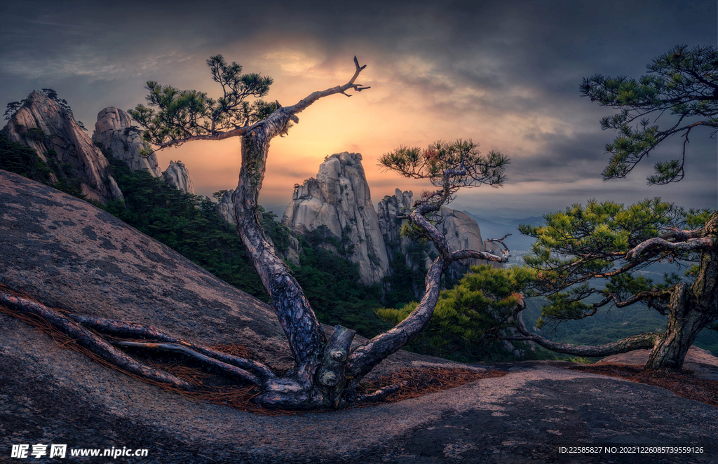 山景