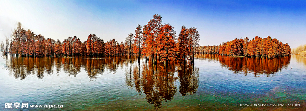 安徽池杉湖国家湿地公园