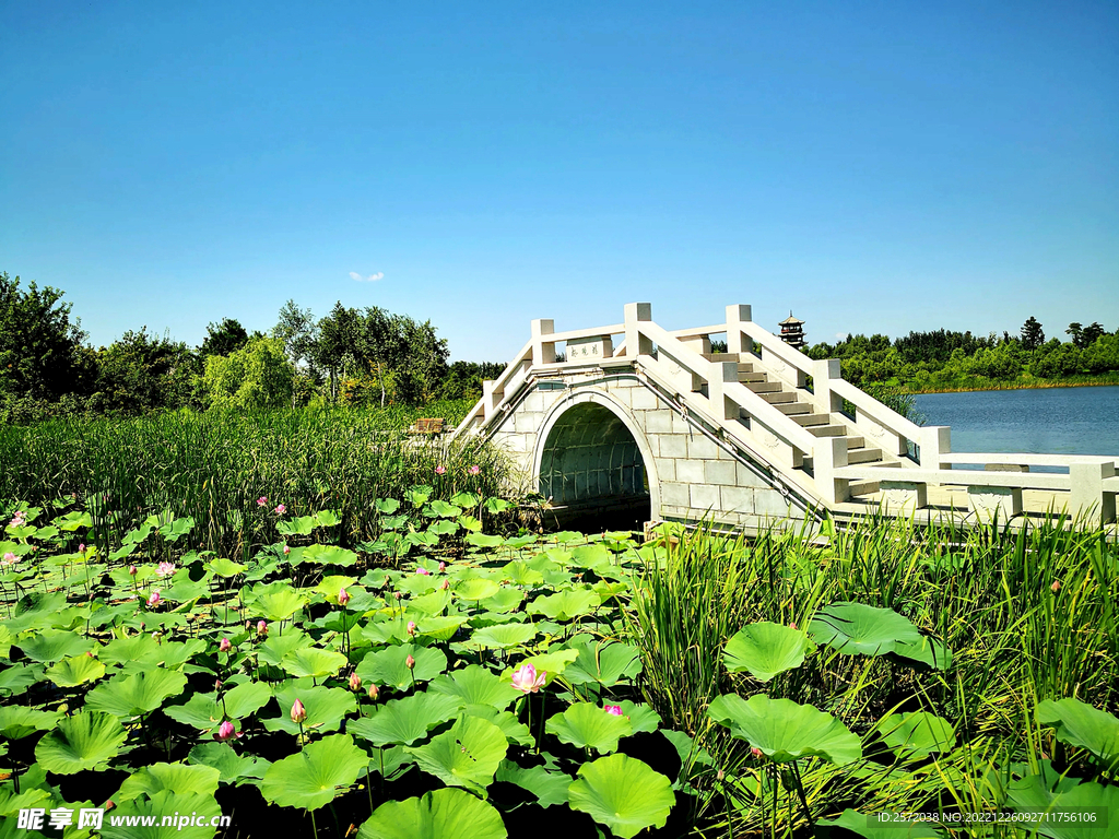 吉林长春北湖湿地公园