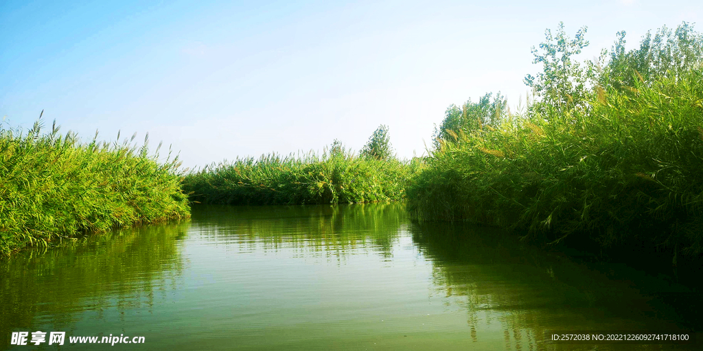 江苏洪泽湖湿地