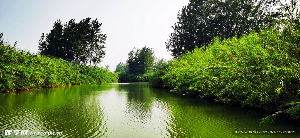 江苏洪泽湖湿地