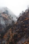 山