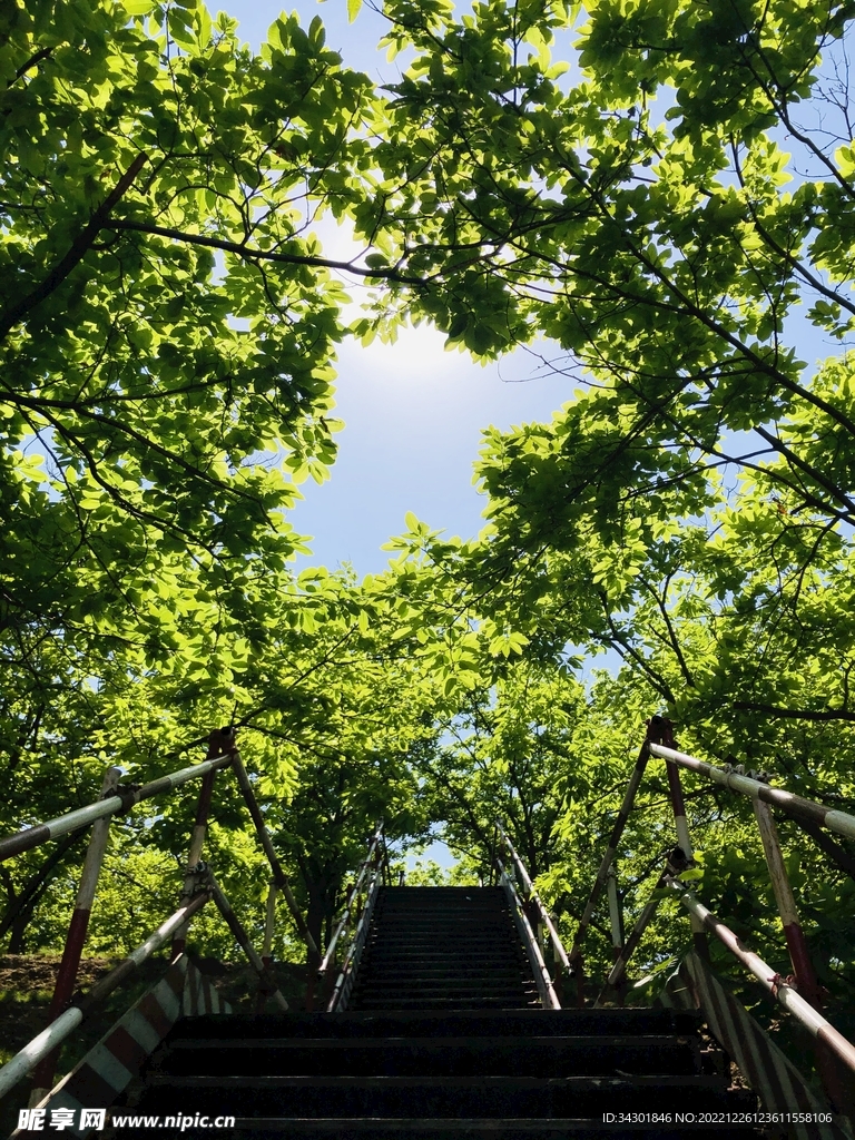 春