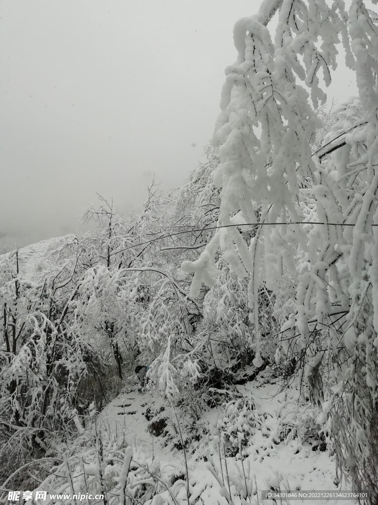 白雪