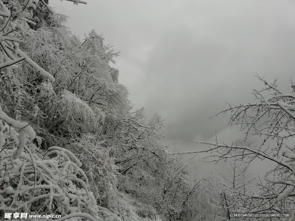 白雪