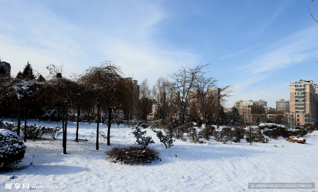 城市雪景