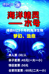 海洋精灵水母海洋馆