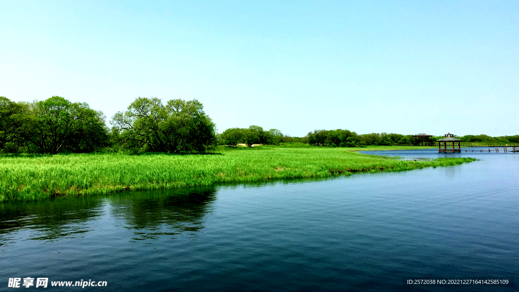 黑龙江黑瞎子岛湿地