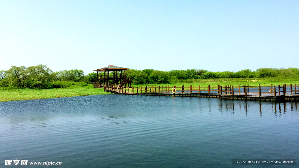 黑龙江黑瞎子岛湿地