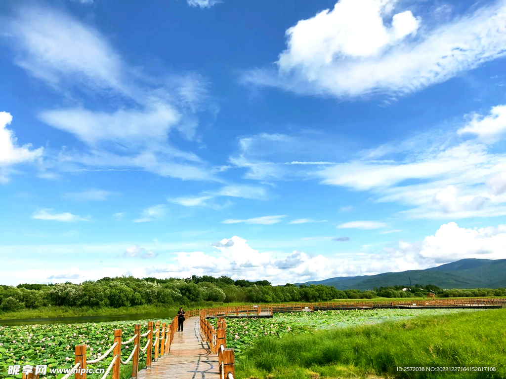 黑龙江黑瞎子岛湿地