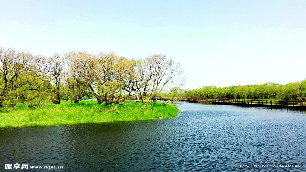 黑龙江黑瞎子岛湿地