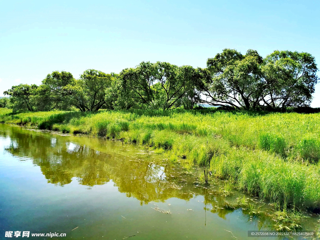 黑龙江黑瞎子岛湿地