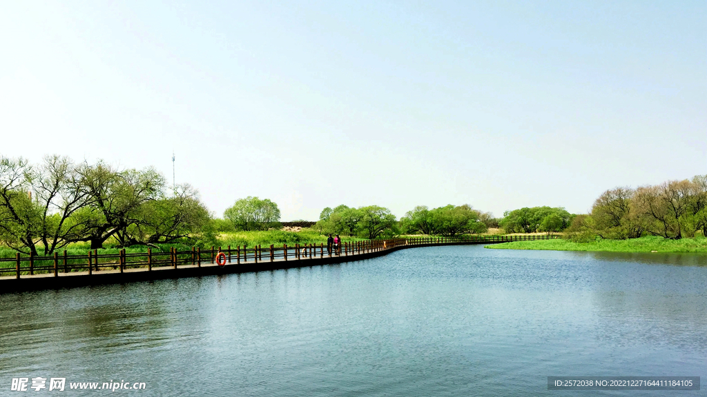 黑龙江黑瞎子岛湿地