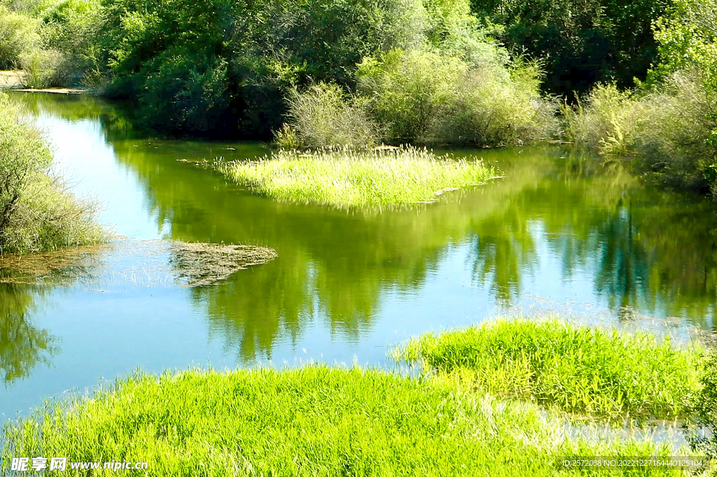 青海贵德黄河清湿地