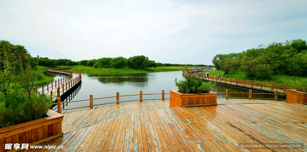 黑龙江黑瞎子岛湿地