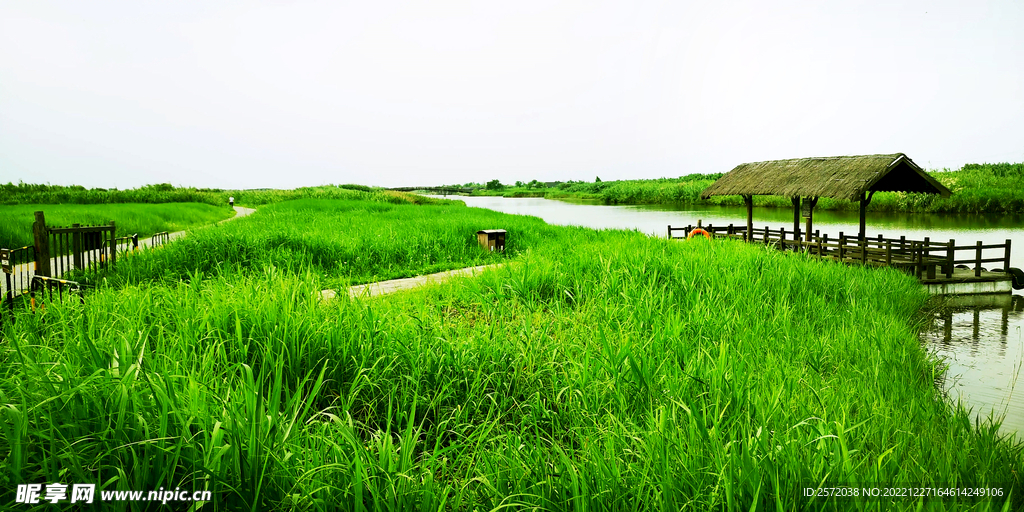浙江宁波杭州湾国家湿地