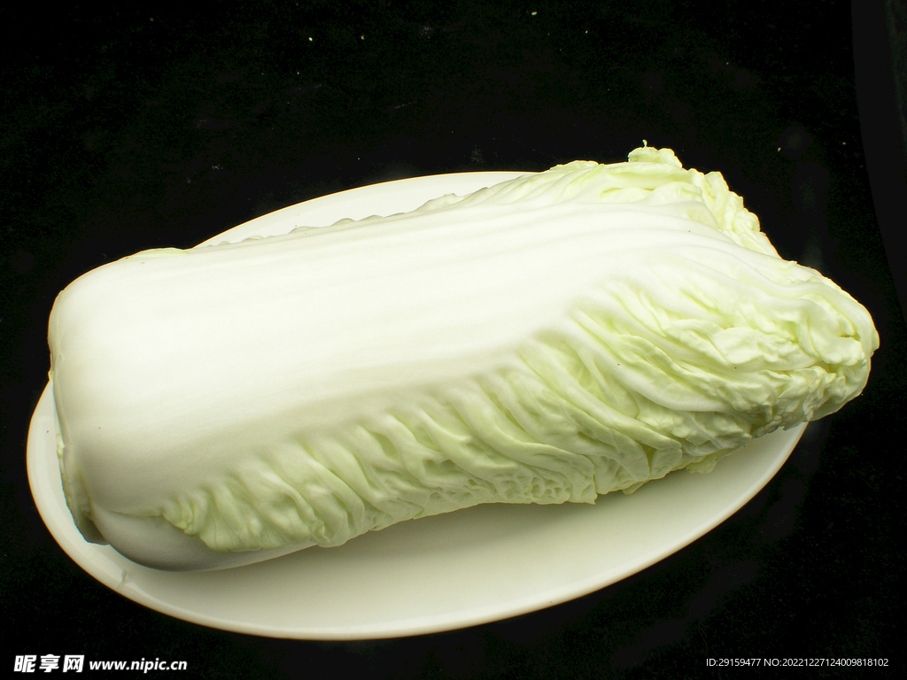 大白菜