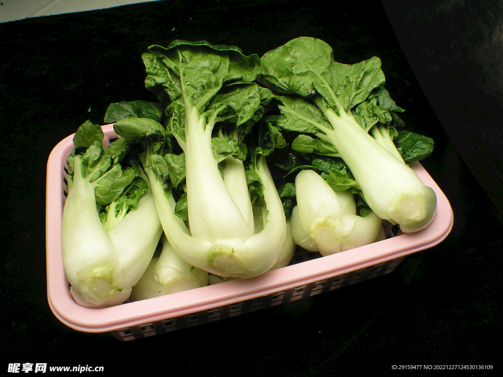 奶白菜