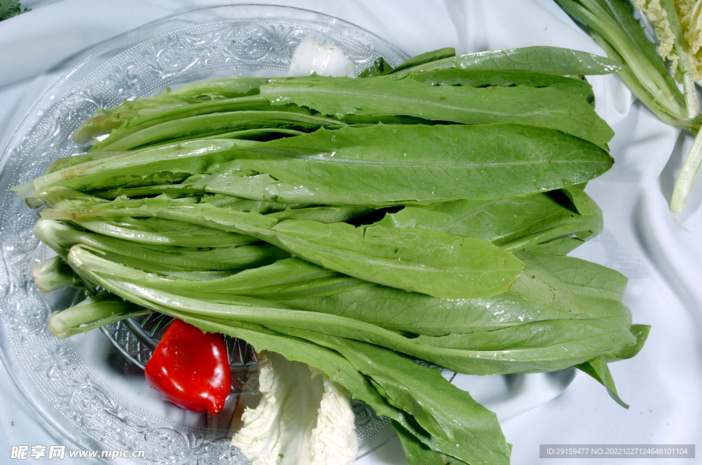 油麦菜