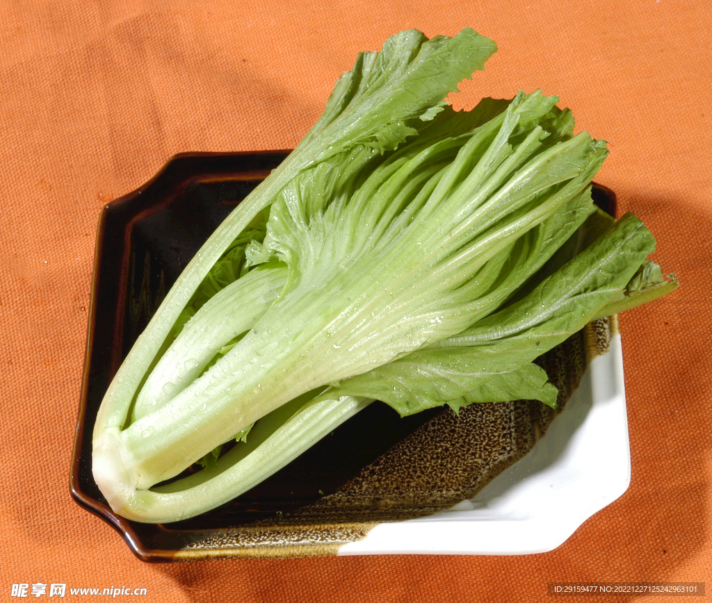 盖菜