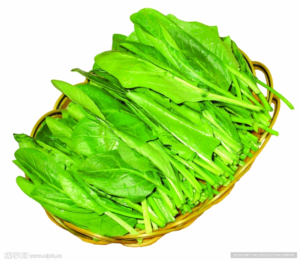 菠菜