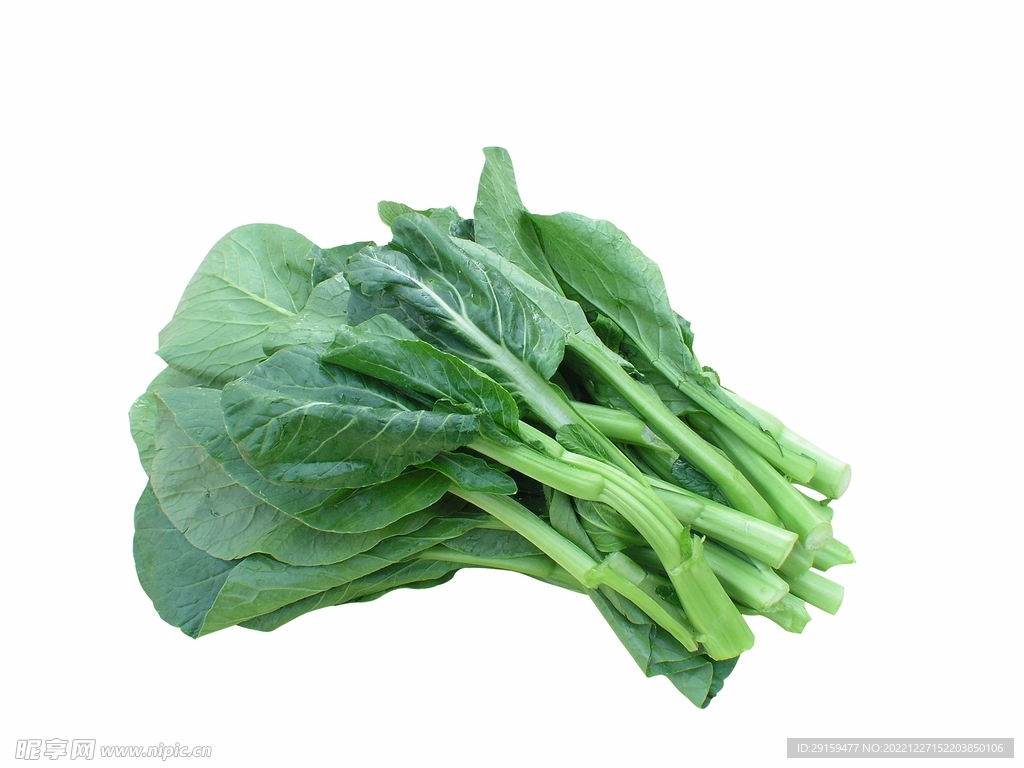 清炒菜心