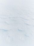 白雪