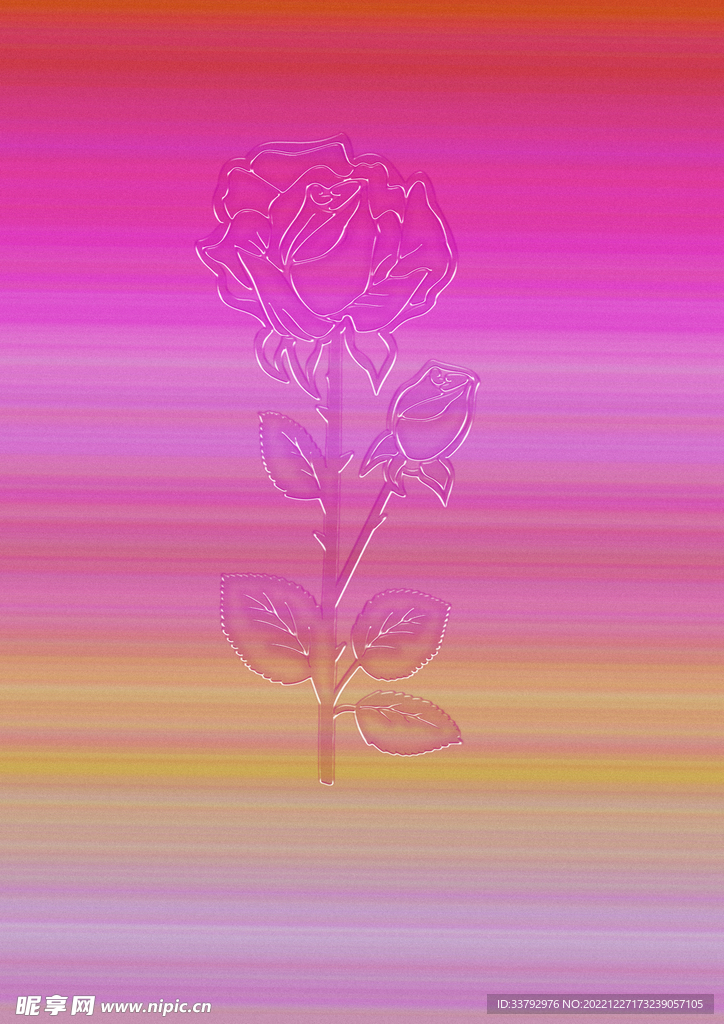 玫瑰