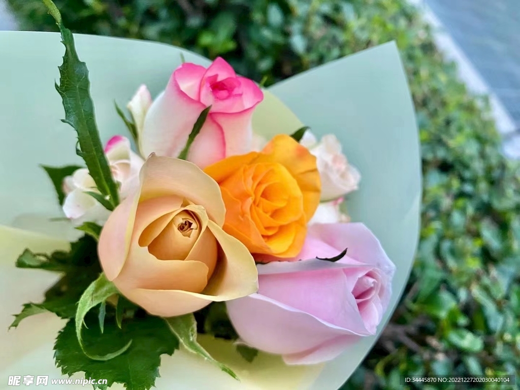 鲜花