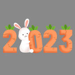 兔年新年元素