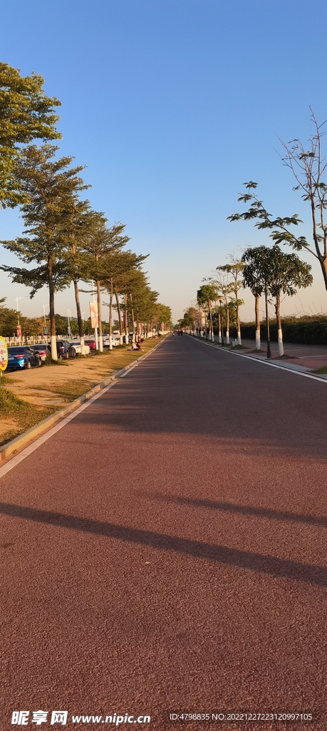 虎门绿道
