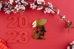 2023新年兔年