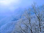 洛阳老君山雪景