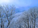 洛阳老君山雪景