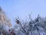 洛阳老君山雪景