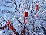 洛阳老君山雪景