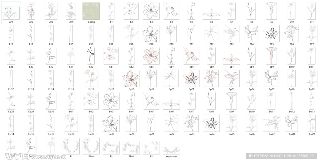 104个素描植物花卉免抠