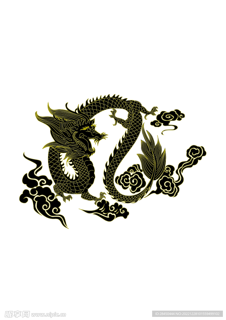 龙