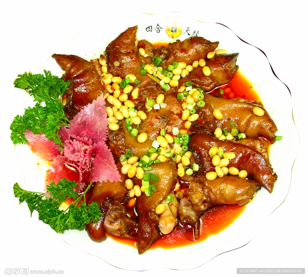 山城金蹄花