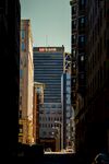 城市