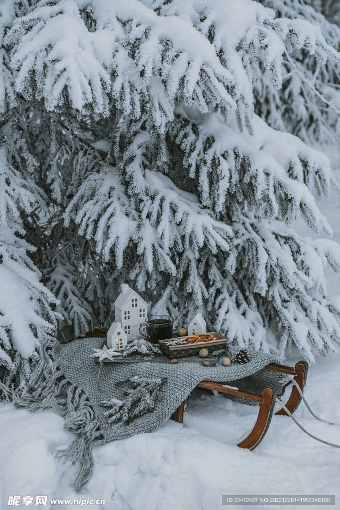 雪地