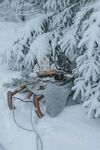 雪地