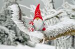 雪地