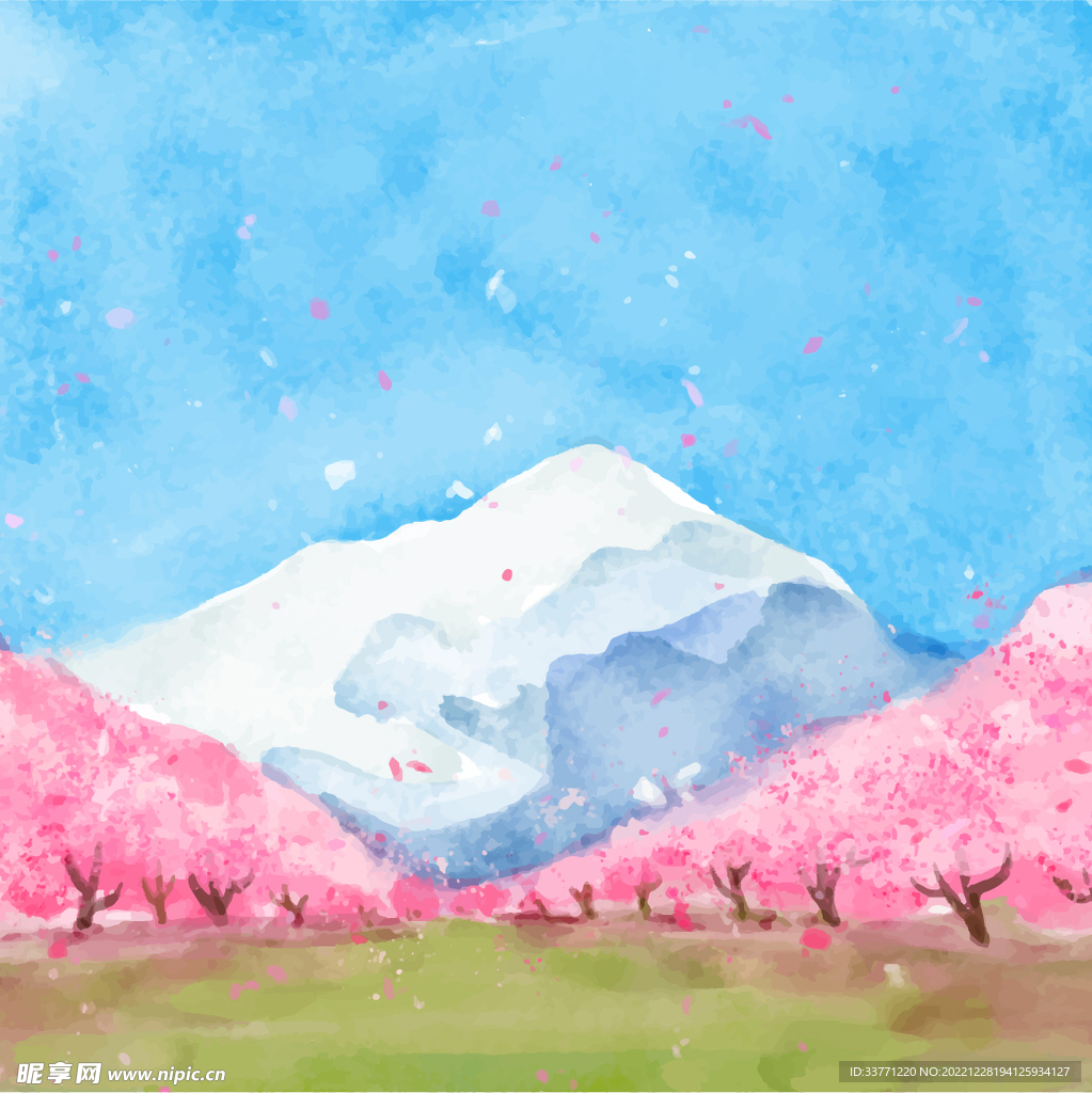 雪山下的樱花
