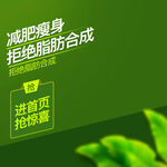 绿色减肥主图