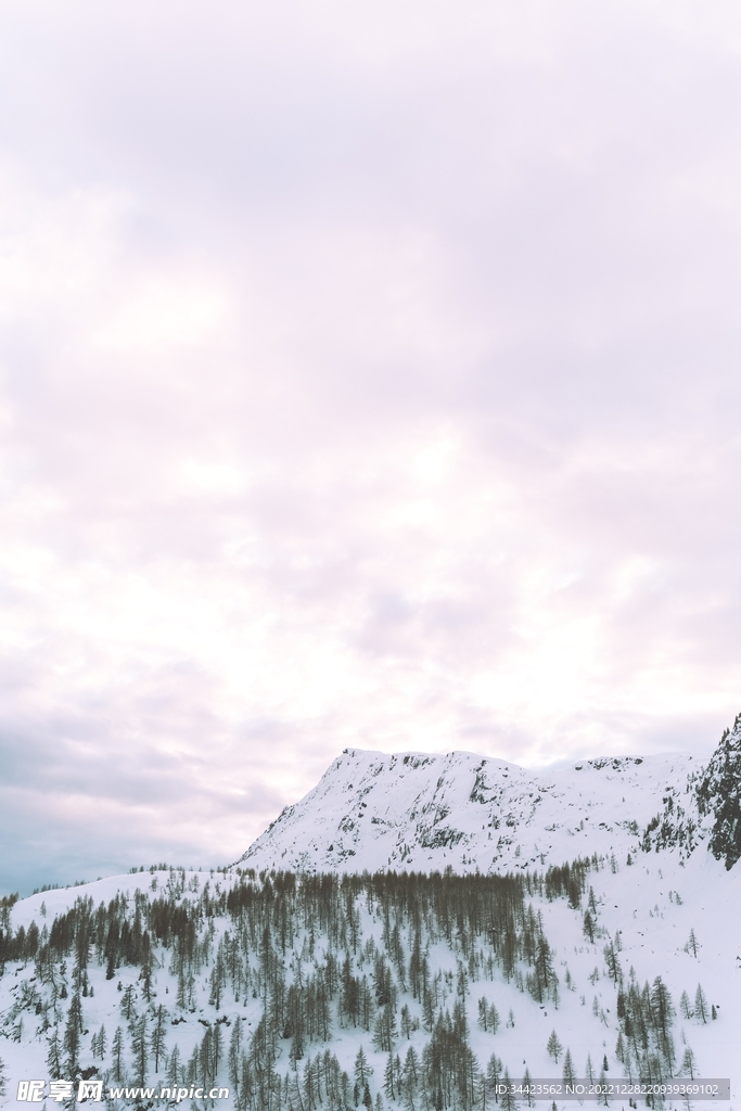 雪景2