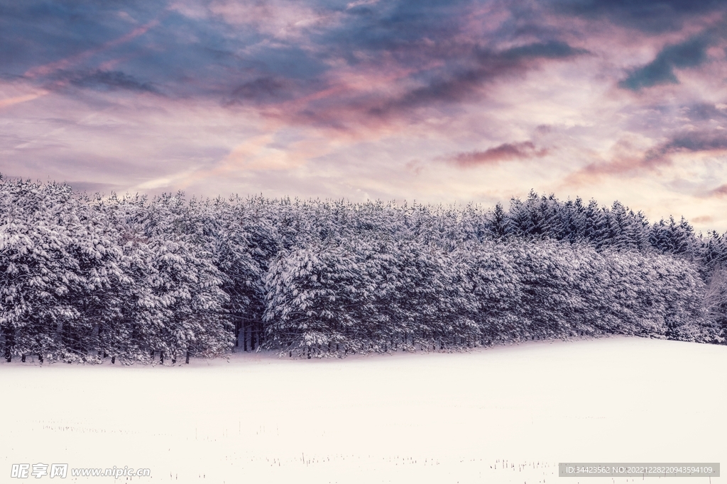 雪景