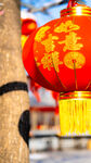 辽宁抚顺高尔山灯笼吉祥如意