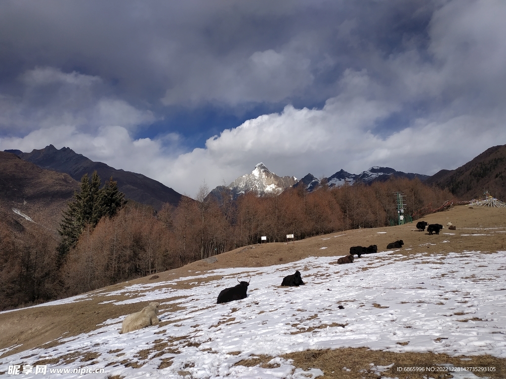 四姑娘山